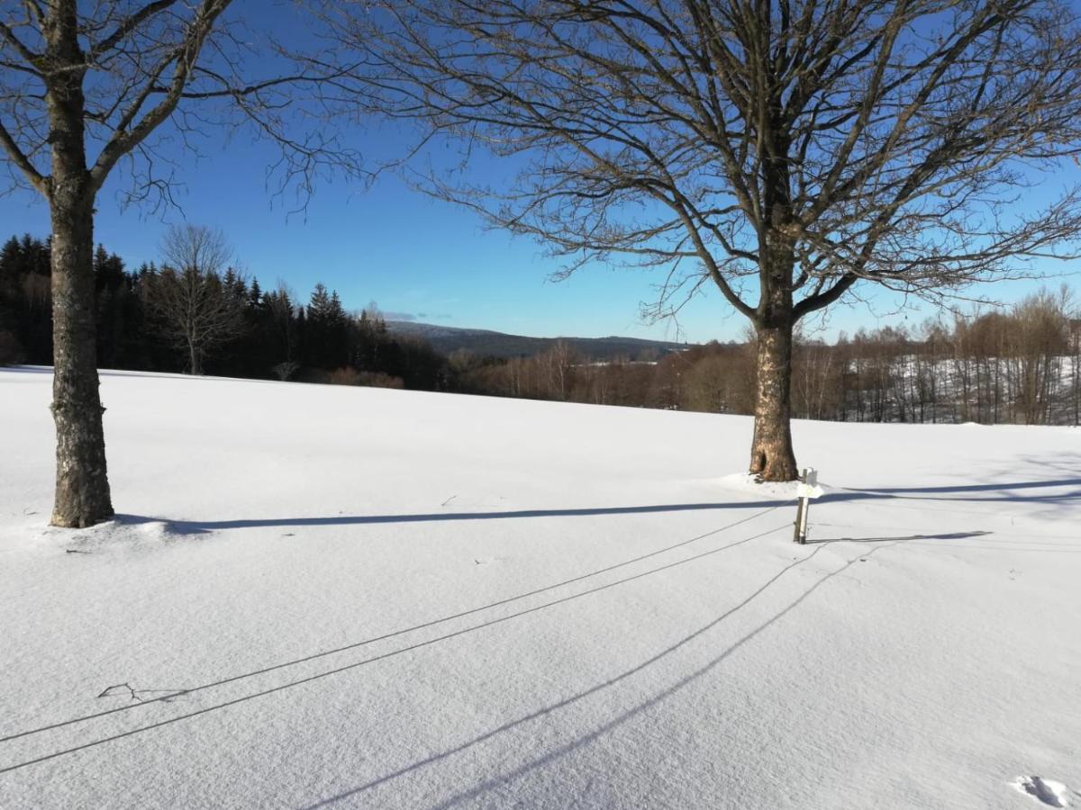 Fahrenbach-Alm Leilighet Tröstau Eksteriør bilde